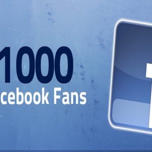 1000 Facebook Page Likes