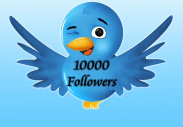10000 Twitter Followers